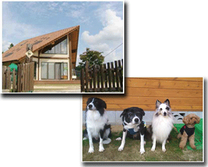 ハッピーわんず笠間店